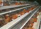 직류 전기를 통한 건전지 닭 층 감금소, 가금류 농기구